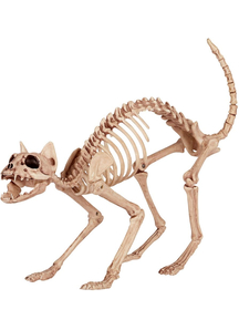 Cat Skeleton Prop.