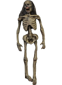 Dead Dude