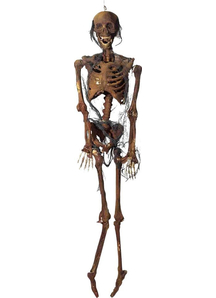 Desiccated Corpse Light Up
