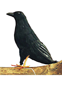 Foam Crow