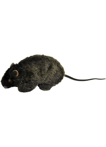 Furry Rat