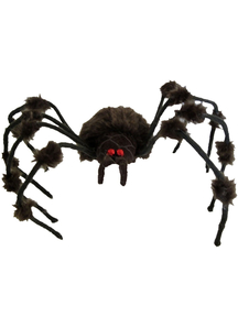 Hairy Grey Spider