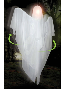 Hanging Rotating Ghost