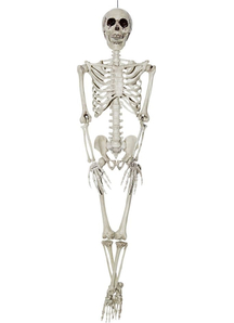 Hanging Skeleton
