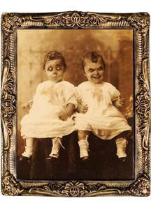 Holographic Twins Portrait 17X21