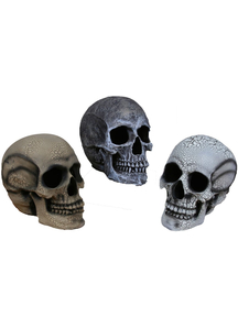 Human Skull Light Up Small White
