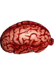 Latex Brain