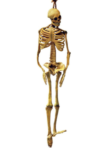 Latex Skeleton