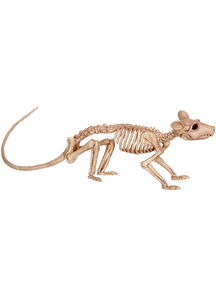 Rat Form Skeleton