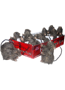 Single Mini Rats