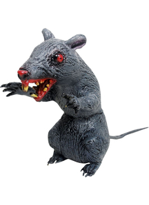 Sitting Evil Rat