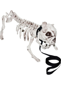 Skeleton Dog