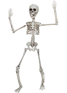 Skeleton