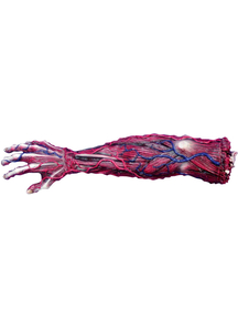 Skinned Left Arm