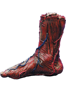 Skinned Right Foot