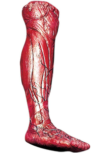 Skinned Right Leg