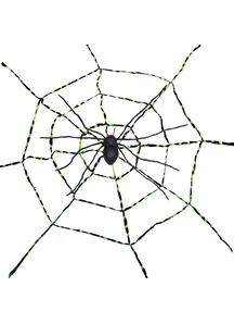 Spiderweb With A Spider