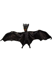 Vampire Bat