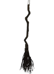 Witch Broom