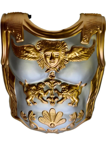 Chest Plate 2 Pc Set