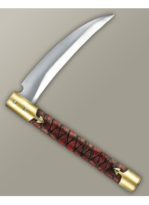 Hidden Dagger Kama