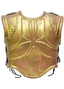 Roman Armor Chest  2 Pc Set