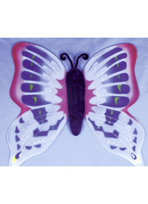 Wings Butterfly