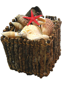 Assorted Shell Crate 15 Shells