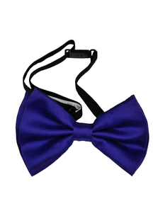 Bow Tie Purple