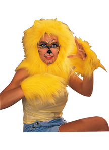 Cat Accessory Pack Gold