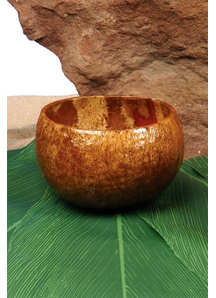 Coconut Cup