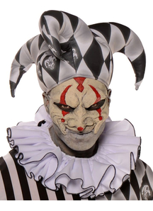 Collar Harlequin