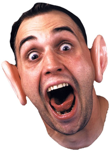 Ears Giant Vinyl