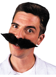 Mustache Schnauzer Black