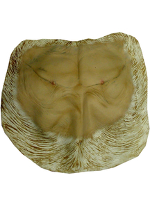 Pongo Chest