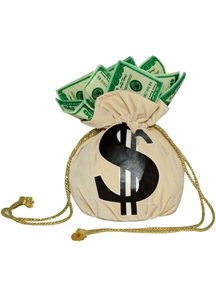 Purse Money Bag
