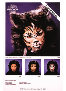 Instruction Sheets Cat Animal