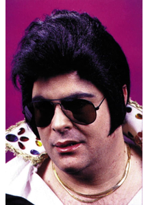 Wig For Rock N Roll Stars