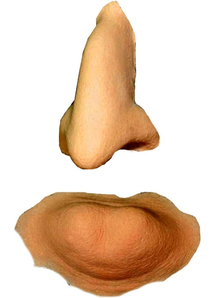 Witch Nose And Chin Foam Latex
