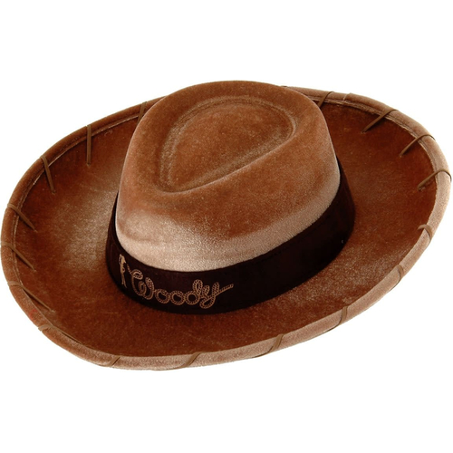 Toy Story Woody Hat For Children