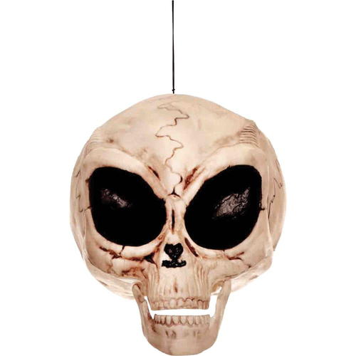 Alien Skull