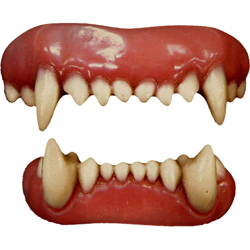 Animal Teeth