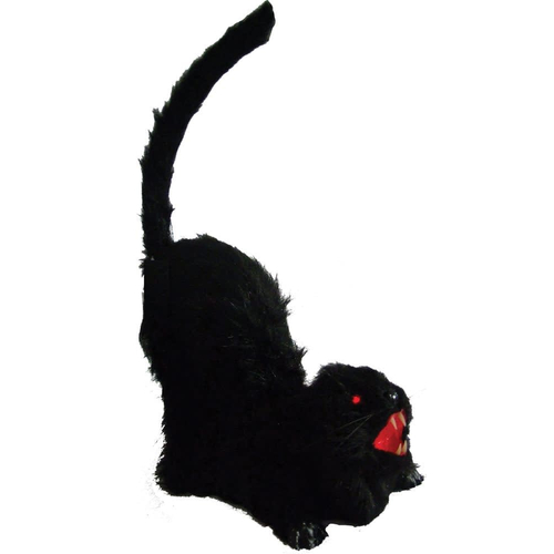Animated Cat