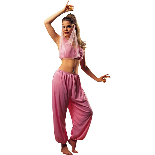 Arabian Princess Costume For Adults