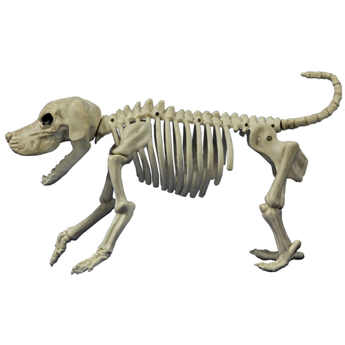Beagle Bonez Props