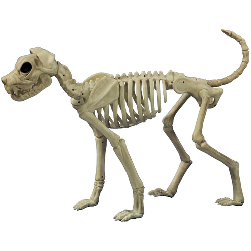 Buster Bones Props