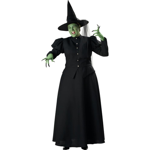 Evil Witch Plus Costume