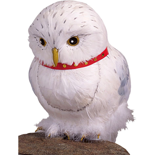 Harry Potter'S Owl Prop
