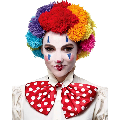 Ranibow Clown Wig