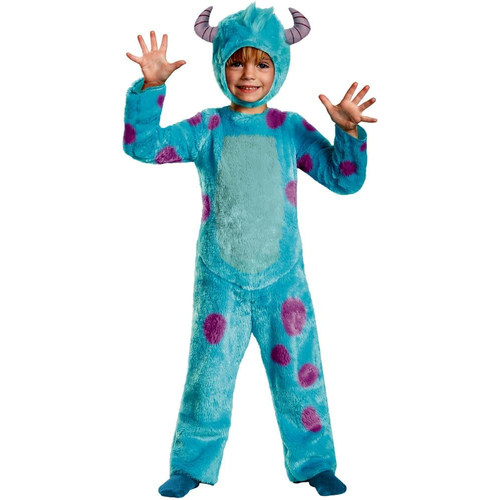 Sally Deluxe Kid Costume